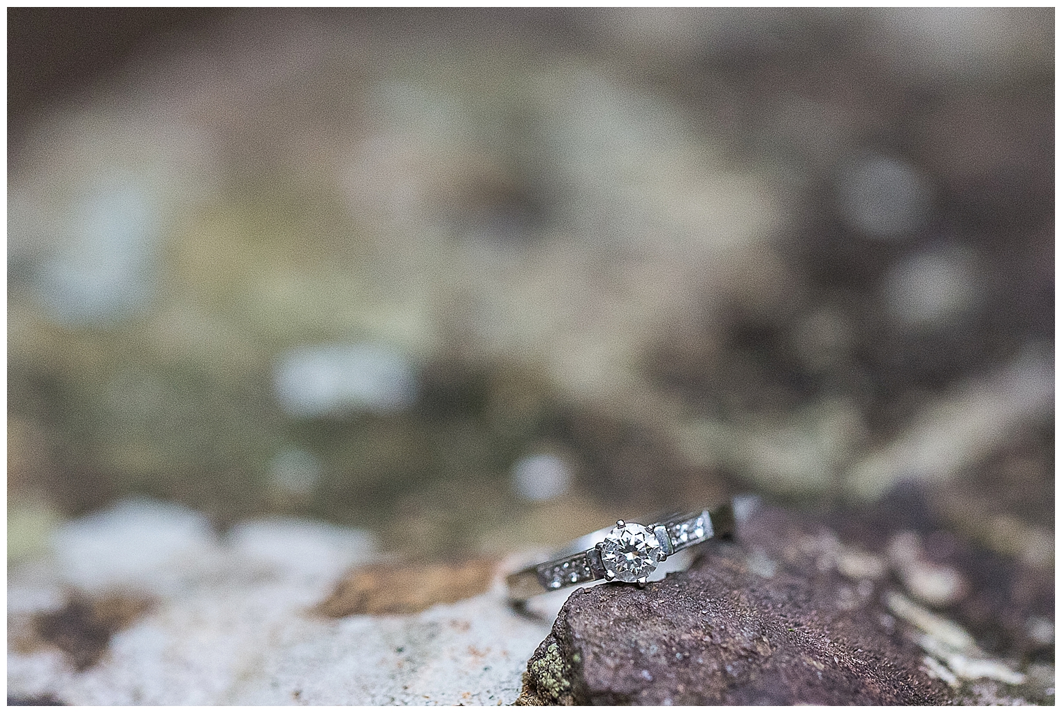 blue-mountains-engagement-session_3177