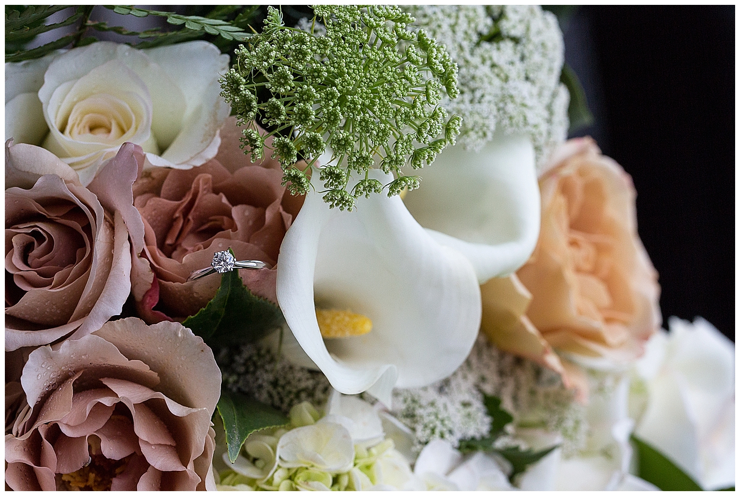 hydro-majestic-wedding_3199