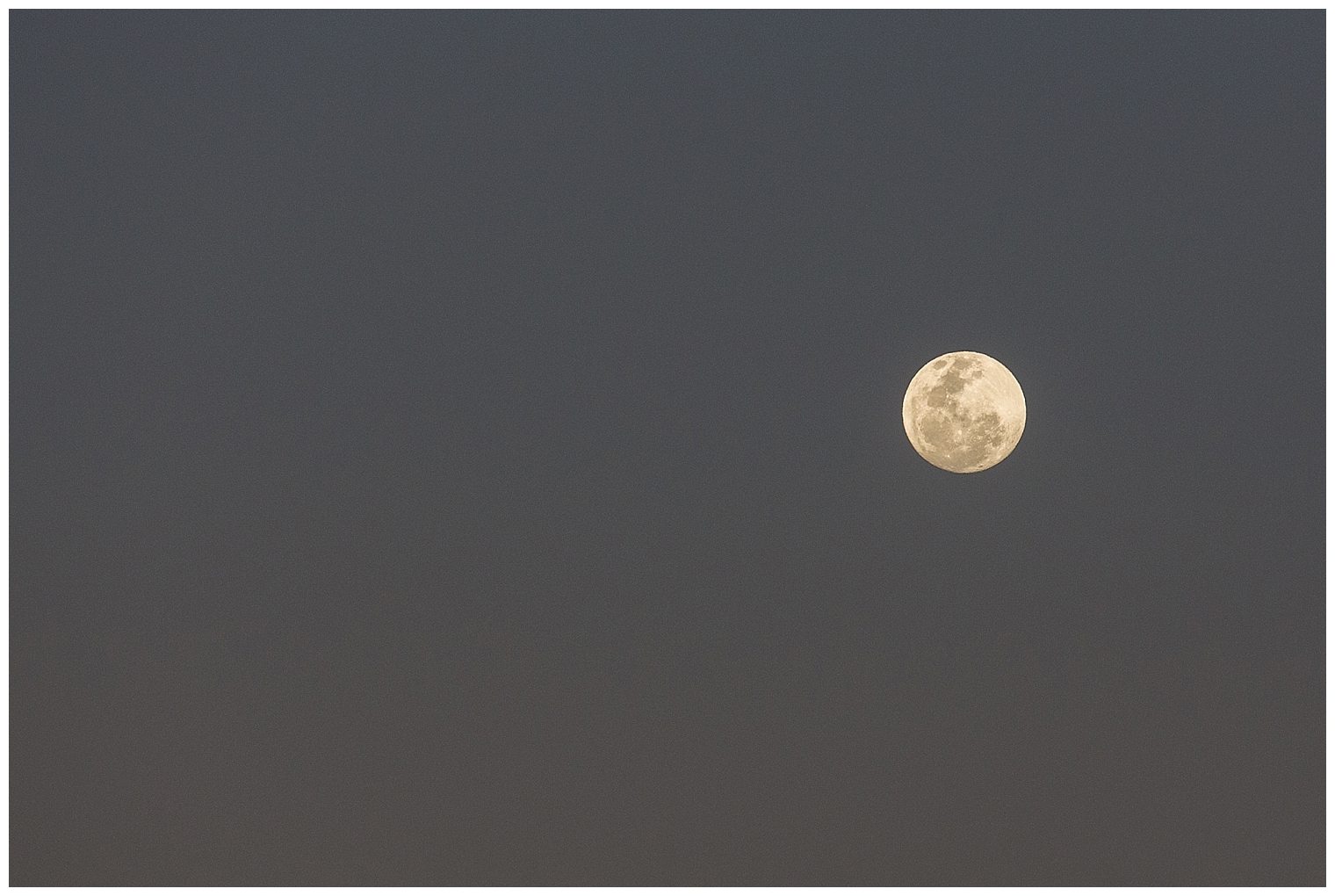 parklands-resort-wedding_3376